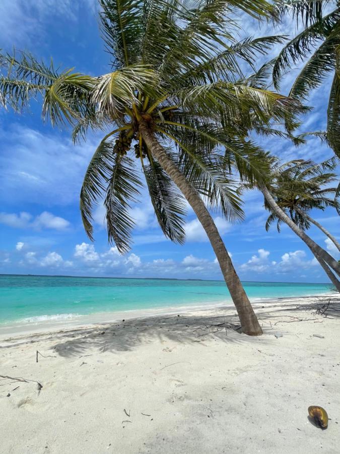Viluveli Holiday Retreat Hanimaadhoo Island Esterno foto