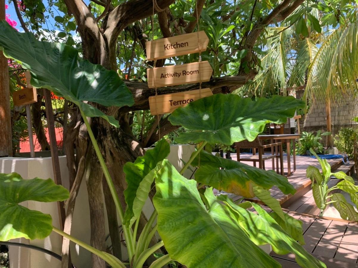 Viluveli Holiday Retreat Hanimaadhoo Island Esterno foto